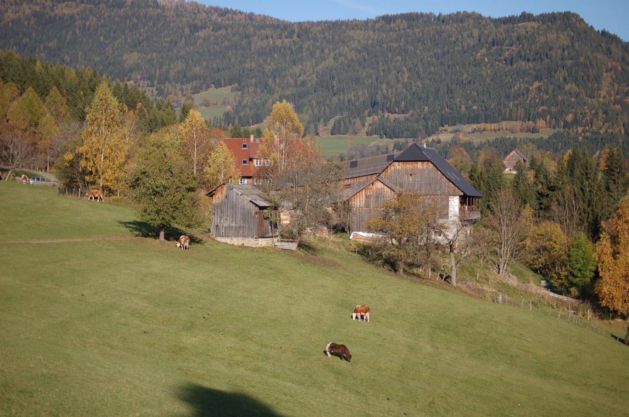 Walcherhof Arriach Luaran gambar